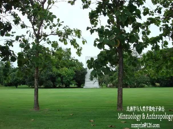 学校活动主题名称大全_学校进校门的墙文化_学校文化墙主题名称