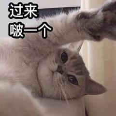 亚克力弧形折弯技巧_树脂字和亚克力字_亚克力字安装技巧