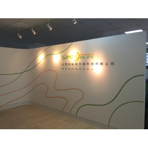 小公司形象墙_墙绘公司形象墙_公司形象墙设计模板
